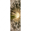 Led Wandbild Pusteblume No 11 Schmal Motivvorschau