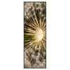 Led Wandbild Pusteblume No 11 Schmal Produktvorschau Frontal