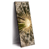 Led Wandbild Pusteblume No 11 Schmal Produktvorschau Seitlich