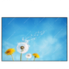 Led Wandbild Pusteblume No 2 Querformat Produktvorschau Frontal