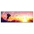 Led Wandbild Pusteblume No 5 Panorama Produktvorschau Frontal