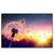 Led Wandbild Pusteblume No 5 Querformat Produktvorschau Frontal