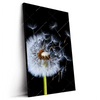 Led Wandbild Pusteblume No 6 Hochformat Produktvorschau Seitlich