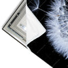 Led Wandbild Pusteblume No 6 Panorama Materialvorschau