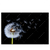 Led Wandbild Pusteblume No 6 Querformat Produktvorschau Frontal