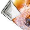 Led Wandbild Pusteblume No 8 Hochformat Materialvorschau