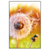 Led Wandbild Pusteblume No 8 Hochformat Produktvorschau Frontal