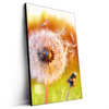 Led Wandbild Pusteblume No 8 Hochformat Produktvorschau Seitlich