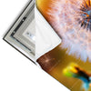 Led Wandbild Pusteblume No 8 Panorama Materialvorschau