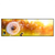 Led Wandbild Pusteblume No 8 Panorama Produktvorschau Frontal