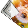 Led Wandbild Pusteblume No 8 Querformat Materialvorschau