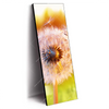 Led Wandbild Pusteblume No 8 Schmal Produktvorschau Seitlich