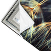 Led Wandbild Pusteblume No 9 Panorama Materialvorschau