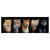 Led Wandbild Raubkatzen Panorama Produktvorschau Frontal