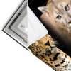 Led Wandbild Raubkatzen Querformat Materialvorschau