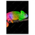 Led Wandbild Regenbogen Chamaeleon Hochformat Produktvorschau Frontal