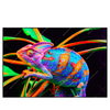 Led Wandbild Regenbogen Chamaeleon No 2 Querformat Produktvorschau Frontal