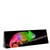 Led Wandbild Regenbogen Chamaeleon Panorama Produktvorschau Seitlich