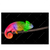 Led Wandbild Regenbogen Chamaeleon Querformat Produktvorschau Frontal
