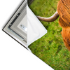 Led Wandbild Rind In Den Schottischen Highlands Querformat Materialvorschau