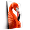 Led Wandbild Rosa Flamingo Hochformat Produktvorschau Seitlich