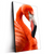 Led Wandbild Rosa Flamingo Hochformat Produktvorschau Seitlich