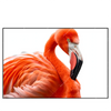 Led Wandbild Rosa Flamingo Querformat Produktvorschau Frontal