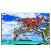 Led Wandbild Rote Blueten Und Tuerkisfarbenes Meer Querformat Produktvorschau Frontal