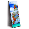 Led Wandbild Rote Blueten Und Tuerkisfarbenes Meer Schmal Produktvorschau Seitlich
