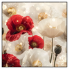 Led Wandbild Rote Und Weisse Mohnblumen Quadrat Produktvorschau Frontal