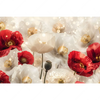 Led Wandbild Rote Und Weisse Mohnblumen Querformat Motivvorschau