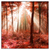 Led Wandbild Roter Herbstwald Quadrat Produktvorschau Frontal