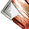 Led Wandbild Roter Herbstwald Querformat Materialvorschau