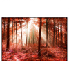 Led Wandbild Roter Herbstwald Querformat Produktvorschau Frontal