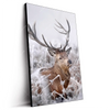 Led Wandbild Rothirsch Im Winter Hochformat Produktvorschau Seitlich