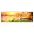Led Wandbild Ruhiger Morgen Am See Panorama Produktvorschau Frontal