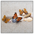 Led Wandbild Schmetterlinge Muscheln Im Sand Quadrat Produktvorschau Frontal