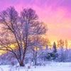 Led Wandbild Schoene Winterlandschaft Quadrat Motivvorschau