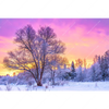 Led Wandbild Schoene Winterlandschaft Querformat Motivvorschau