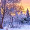 Led Wandbild Schoene Winterlandschaft Querformat Zoom