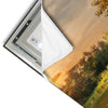 Led Wandbild Schwan Im Teich Hochformat Materialvorschau