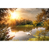 Led Wandbild Schwan Im Teich Querformat Motivvorschau