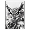 Led Wandbild Schwarz Weiss Eulenportrait Hochformat Produktvorschau Frontal