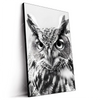 Led Wandbild Schwarz Weiss Eulenportrait Hochformat Produktvorschau Seitlich