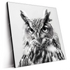 Led Wandbild Schwarz Weiss Eulenportrait Quadrat Produktvorschau Seitlich