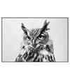Led Wandbild Schwarz Weiss Eulenportrait Querformat Produktvorschau Frontal