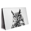 Led Wandbild Schwarz Weiss Eulenportrait Querformat Produktvorschau Seitlich