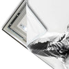Led Wandbild Schwarz Weiss Eulenportrait Schmal Materialvorschau