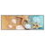 Led Wandbild Seesterne Muscheln Panorama Produktvorschau Frontal