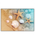 Led Wandbild Seesterne Muscheln Querformat Produktvorschau Frontal